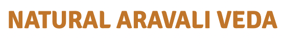 NATURAL ARAVALI VEDA
